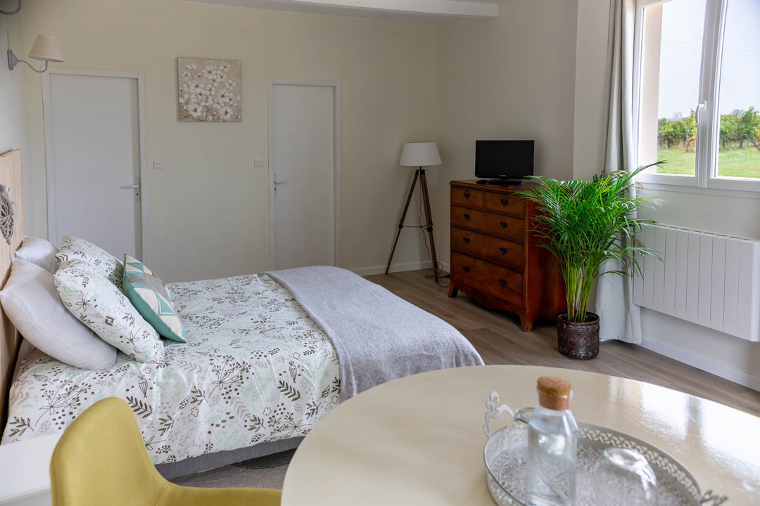 Chambre en maison d'hote en gironde avec vu sur vigne