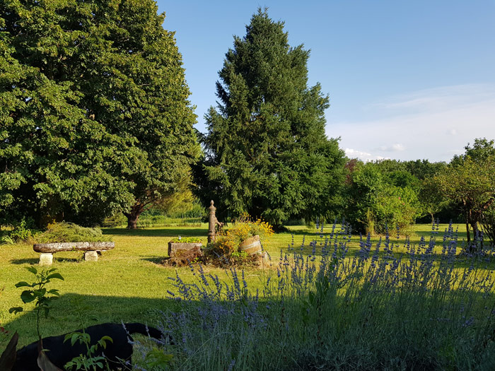 grand jardin dans une maison d'hôtes en gironde